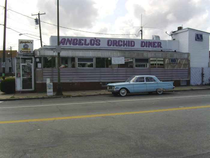 Angelo's Orchid Diner

Credit: Len Arzoomanian - [The Magic World of Comet](http://www.61thriftpower.com "The Magic World of Comet")